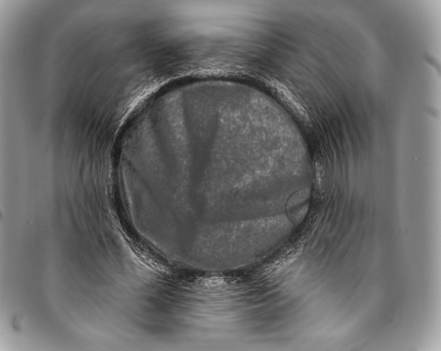 X0000094790588200712071230