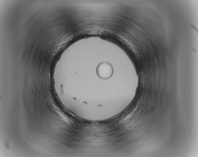 X0000094790589200712071230