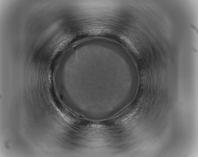 X0000094790590200712071230