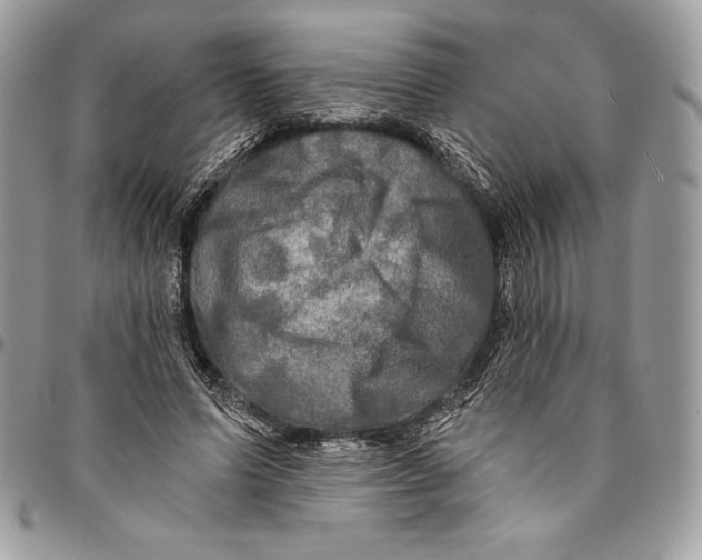 X0000094790591200712071230