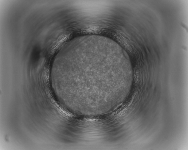 X0000094790593200712071230