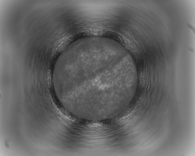 X0000094790594200712071230