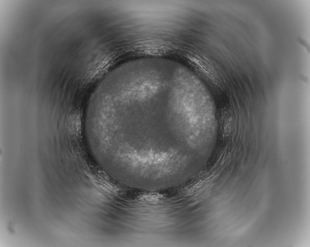 X0000094790595200712071230