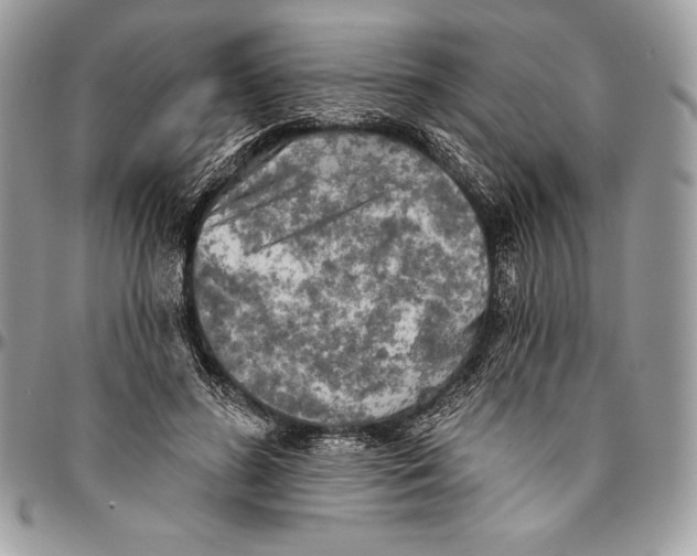 X0000094790596200712071230