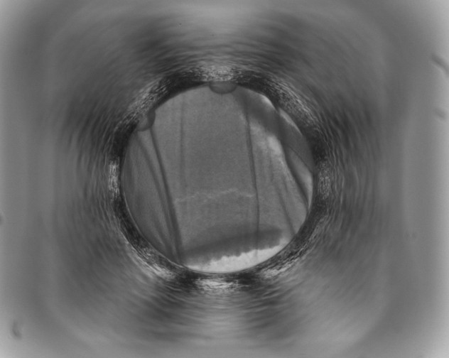 X0000094790598200712071230