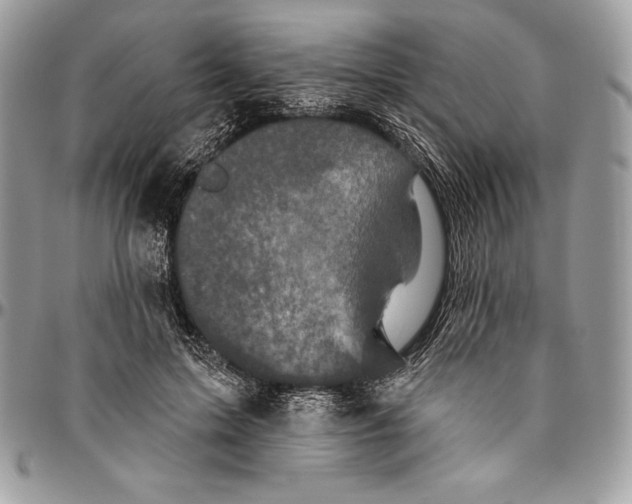 X0000094790599200712071230