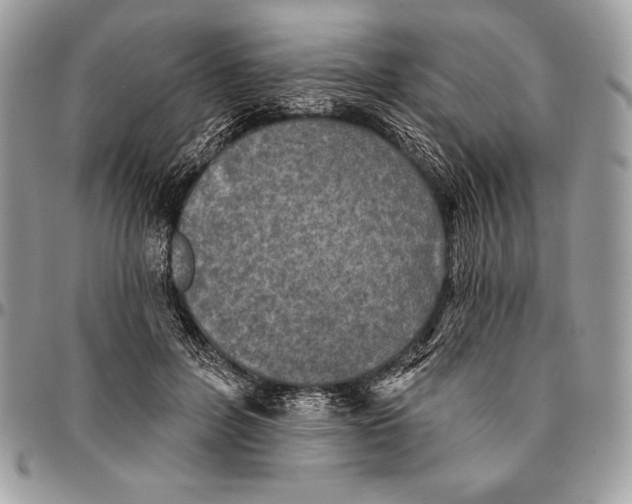 X0000094790600200712071230