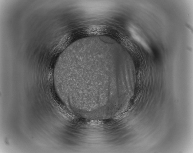 X0000094790601200712071230