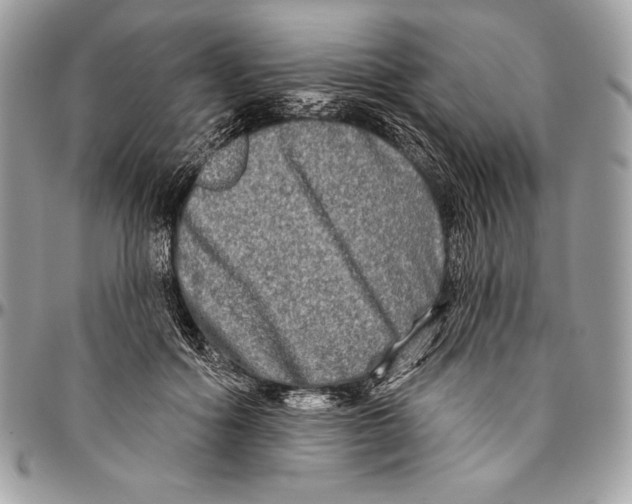 X0000094790602200712071230