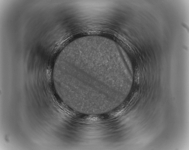 X0000094790604200712071230