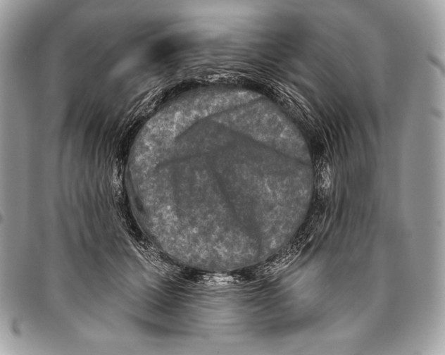 X0000094790607200712071230