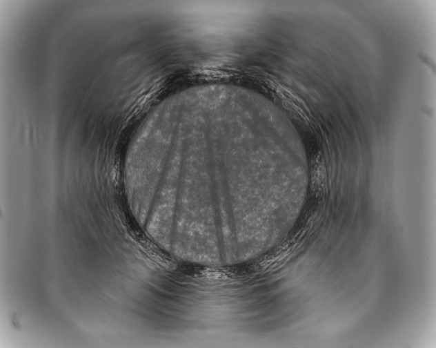 X0000094790608200712071230