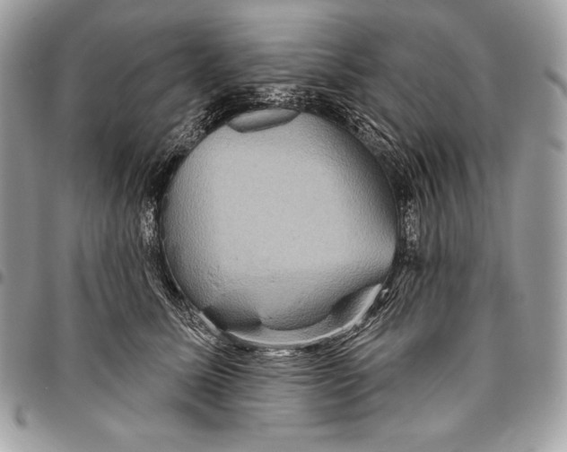 X0000094790611200712071230