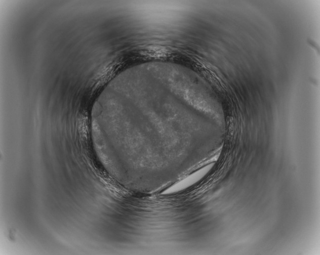 X0000094790612200712071230