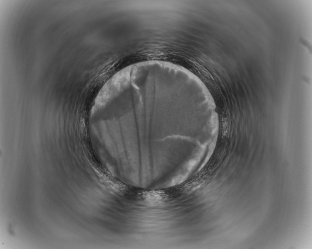 X0000094790618200712071230