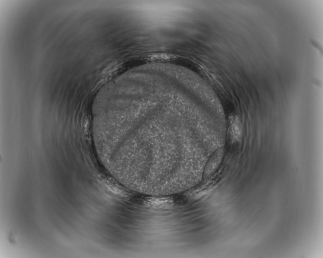 X0000094790619200712071230