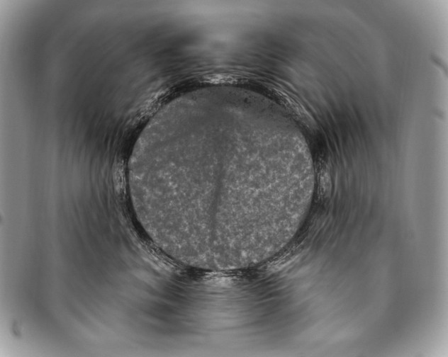 X0000094790620200712071230