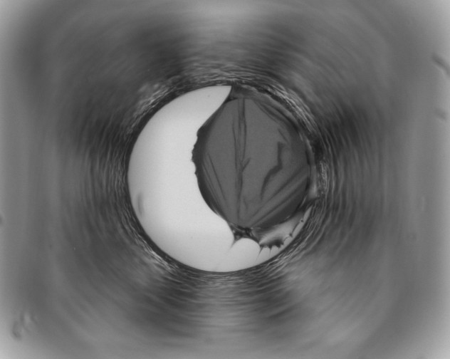 X0000094790621200712071230