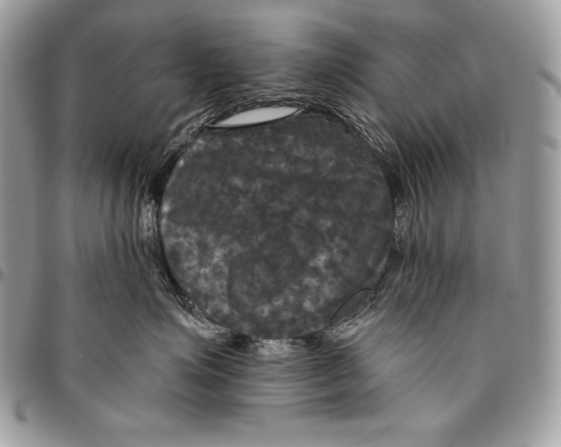 X0000094790623200712071230