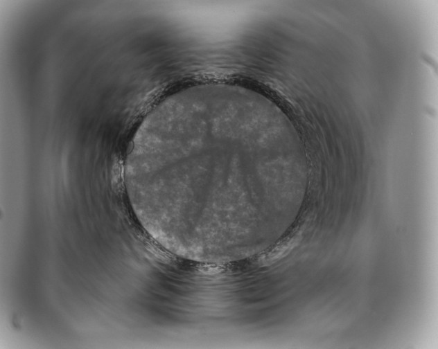 X0000094790624200712071230