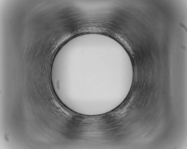 X0000094790625200712071229