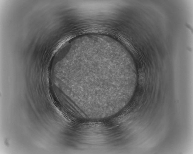 X0000094790626200712071229