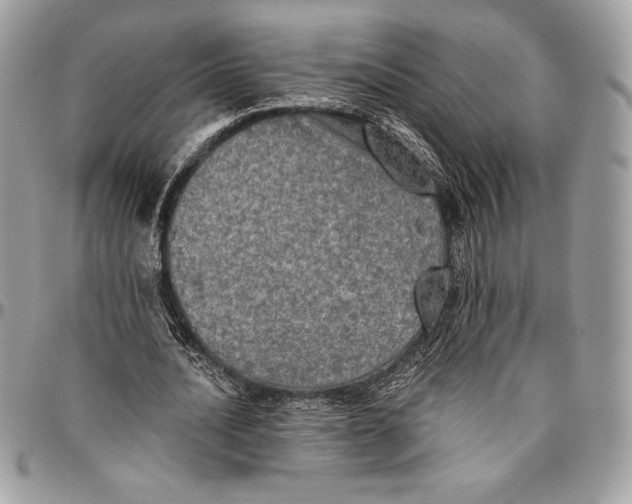 X0000094790628200712071229