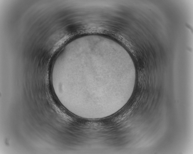 X0000094790629200712071229