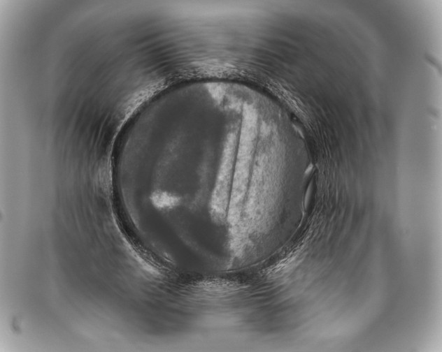 X0000094790630200712071229