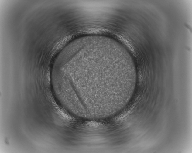 X0000094790633200712071229