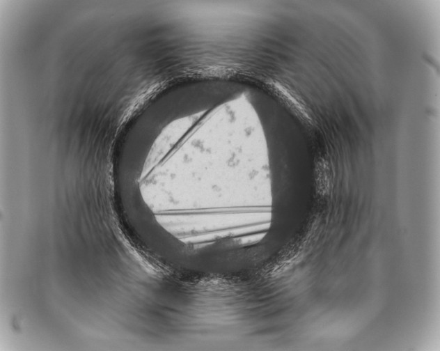 X0000094790634200712071229