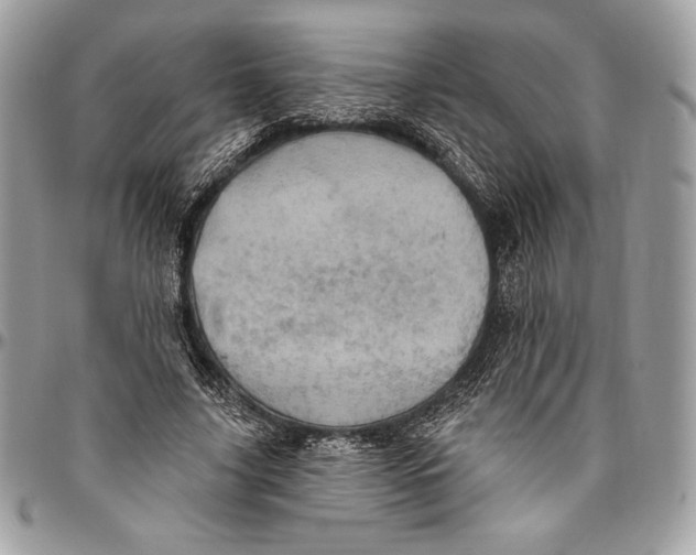 X0000094790635200712071229