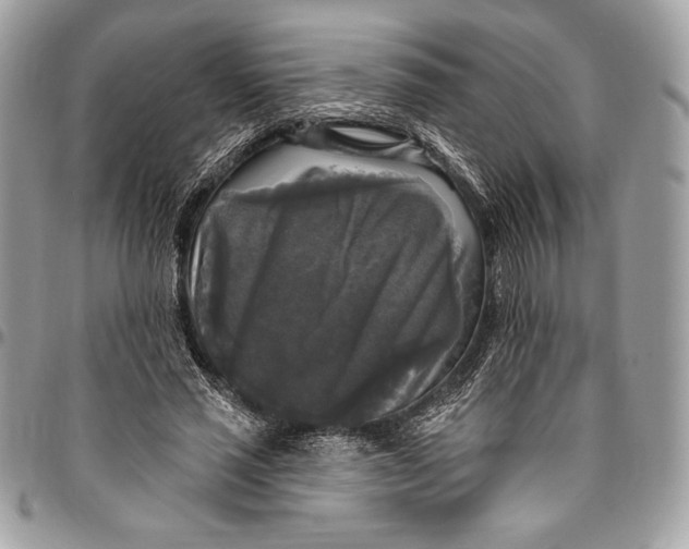 X0000094790637200712071229