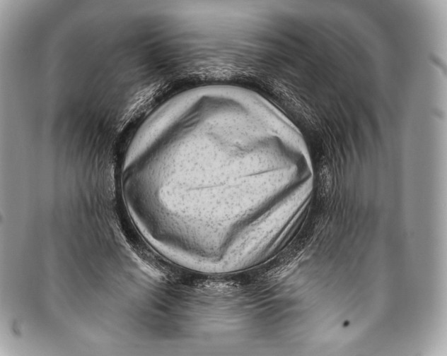 X0000094790638200712071229