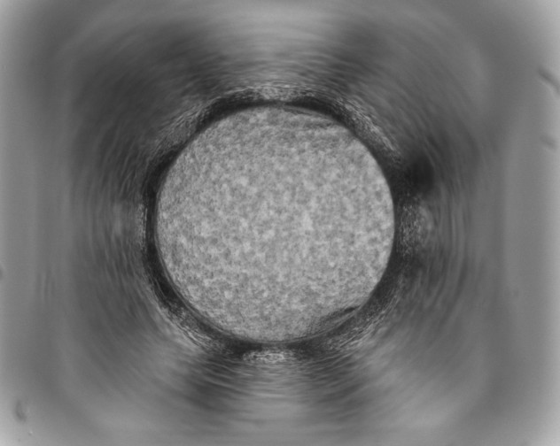 X0000094790639200712071229