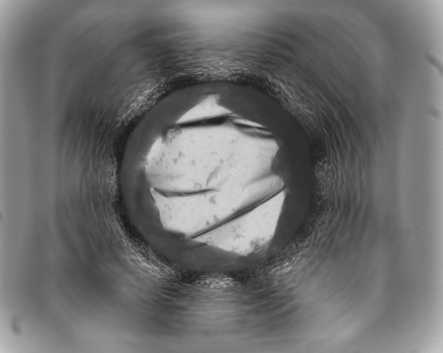 X0000094790642200712071229