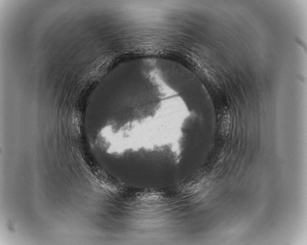 X0000094790643200712071229