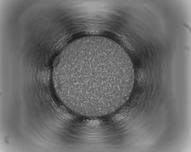 X0000094790645200712071229