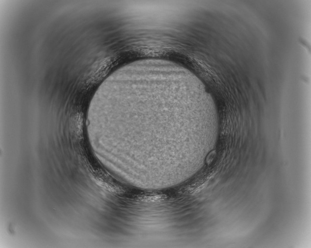 X0000094790646200712071229