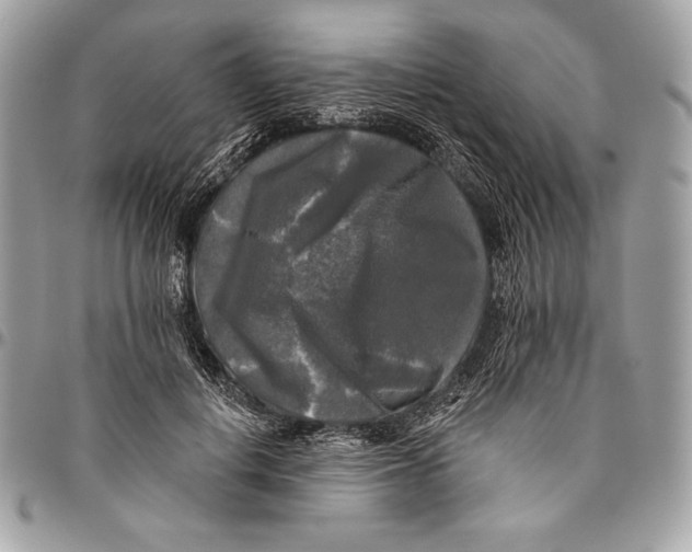 X0000094790648200712071229