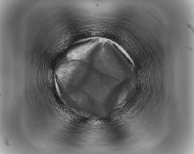 X0000094790650200712071229