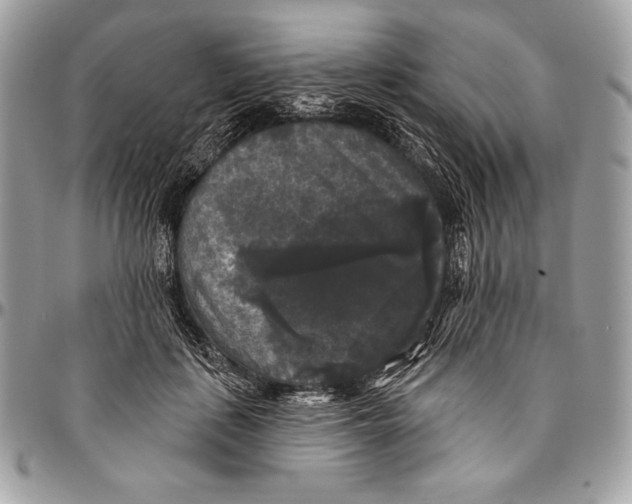 X0000094790651200712071229