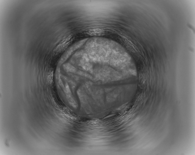 X0000094790652200712071229