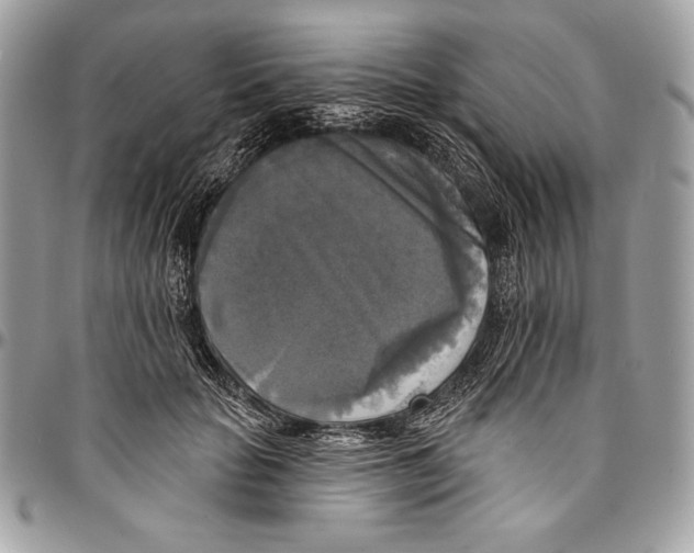 X0000094790653200712071229