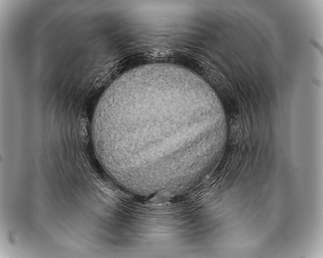 X0000094790654200712071229