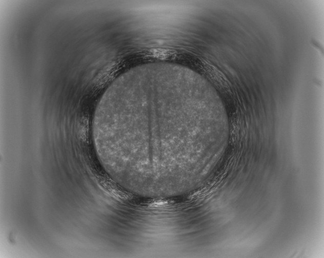 X0000094790656200712071229