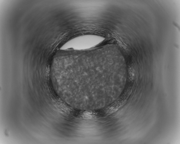 X0000094790657200712071229