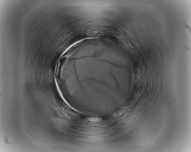 X0000094790659200712071229