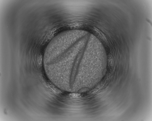 X0000094790660200712071229