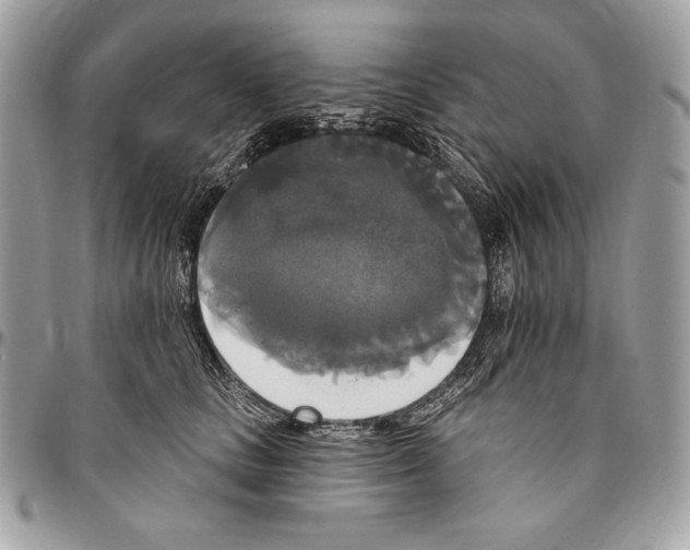 X0000094790661200712071229